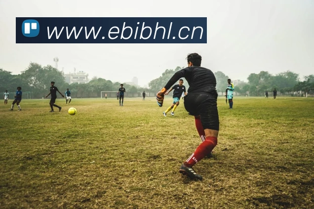 九游j9官网网页版入口品牌故事